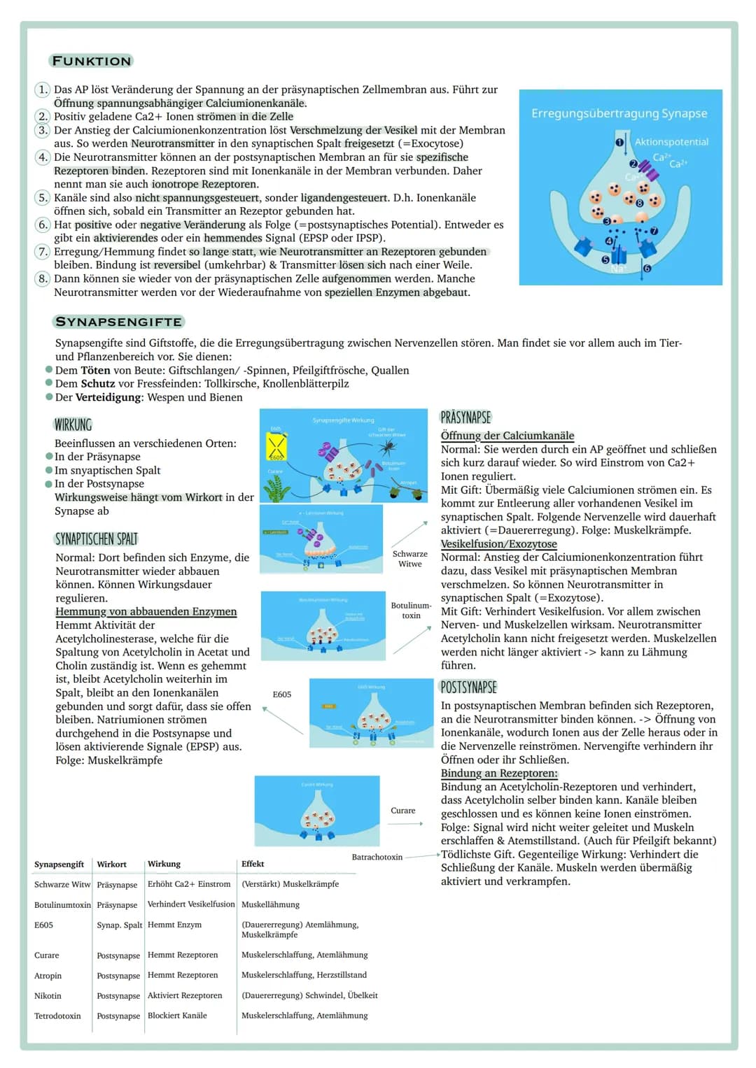 Vorgaben
ÖKOLOGISCHE SYSTEME UND EINFLUSS DES MENSCHEN
●Abiotische Faktoren: Wasser, Temperatur, Licht
●Intra- und interspezifische Wechselw