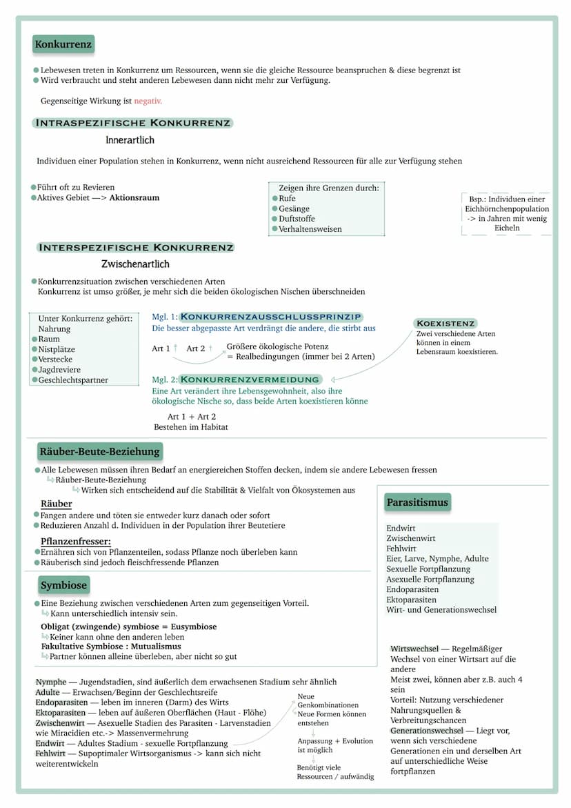 Vorgaben
ÖKOLOGISCHE SYSTEME UND EINFLUSS DES MENSCHEN
●Abiotische Faktoren: Wasser, Temperatur, Licht
●Intra- und interspezifische Wechselw