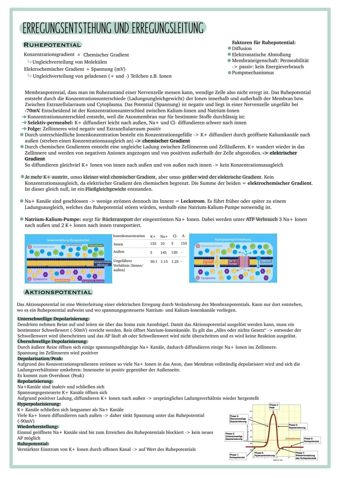 Vorgaben
ÖKOLOGISCHE SYSTEME UND EINFLUSS DES MENSCHEN
●Abiotische Faktoren: Wasser, Temperatur, Licht
●Intra- und interspezifische Wechselw