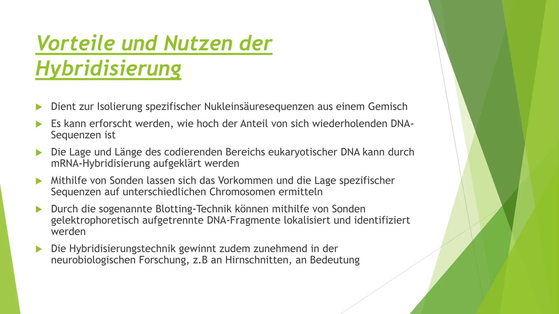 ||
Methoden
der
Gentechnik Inhalt
Genkartierung
DNA Hybridisierung
Was ist das?
Ablauf
Vorteile und Nutzen der Hybridisierung
Southern-Blott