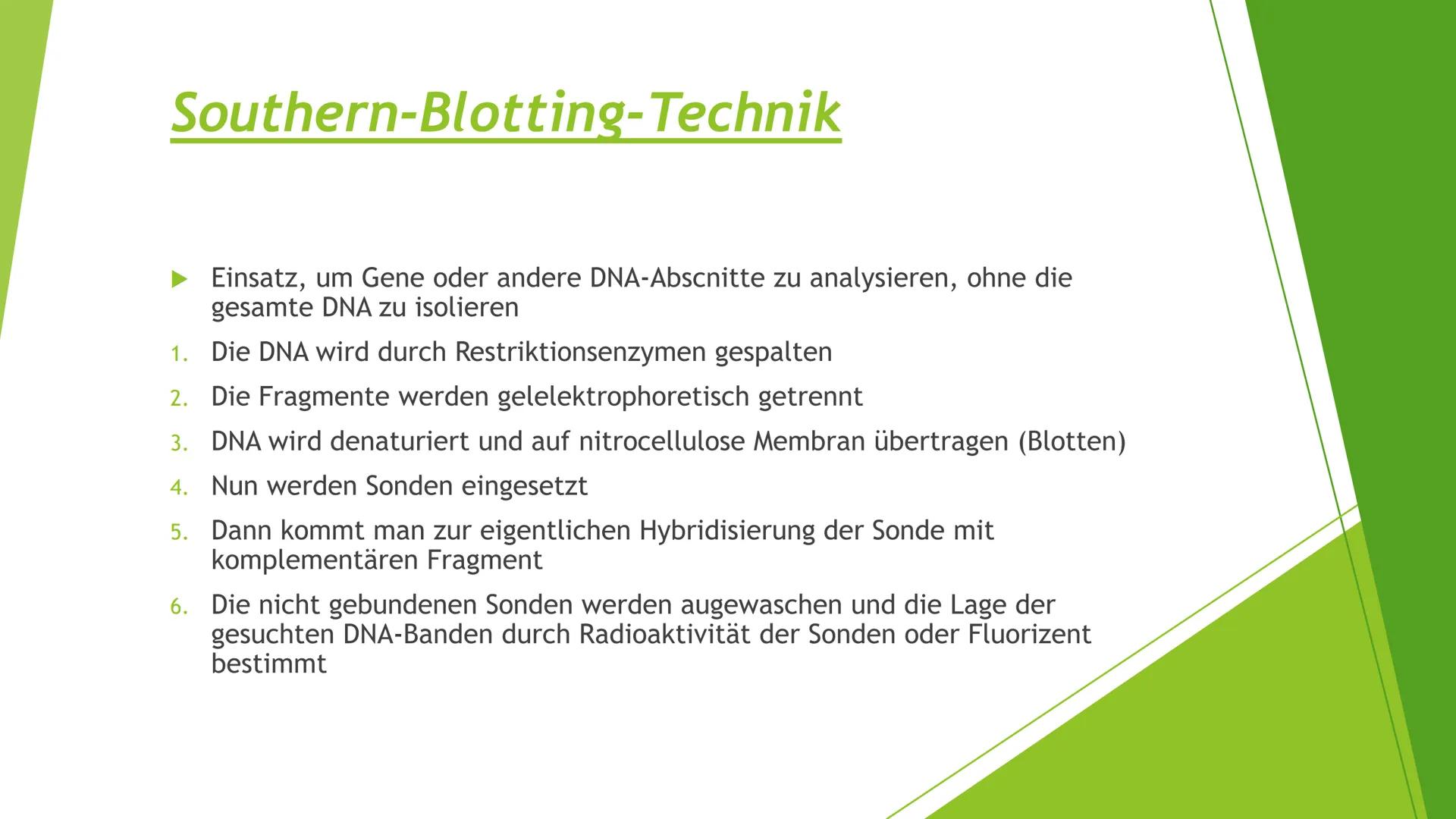 ||
Methoden
der
Gentechnik Inhalt
Genkartierung
DNA Hybridisierung
Was ist das?
Ablauf
Vorteile und Nutzen der Hybridisierung
Southern-Blott