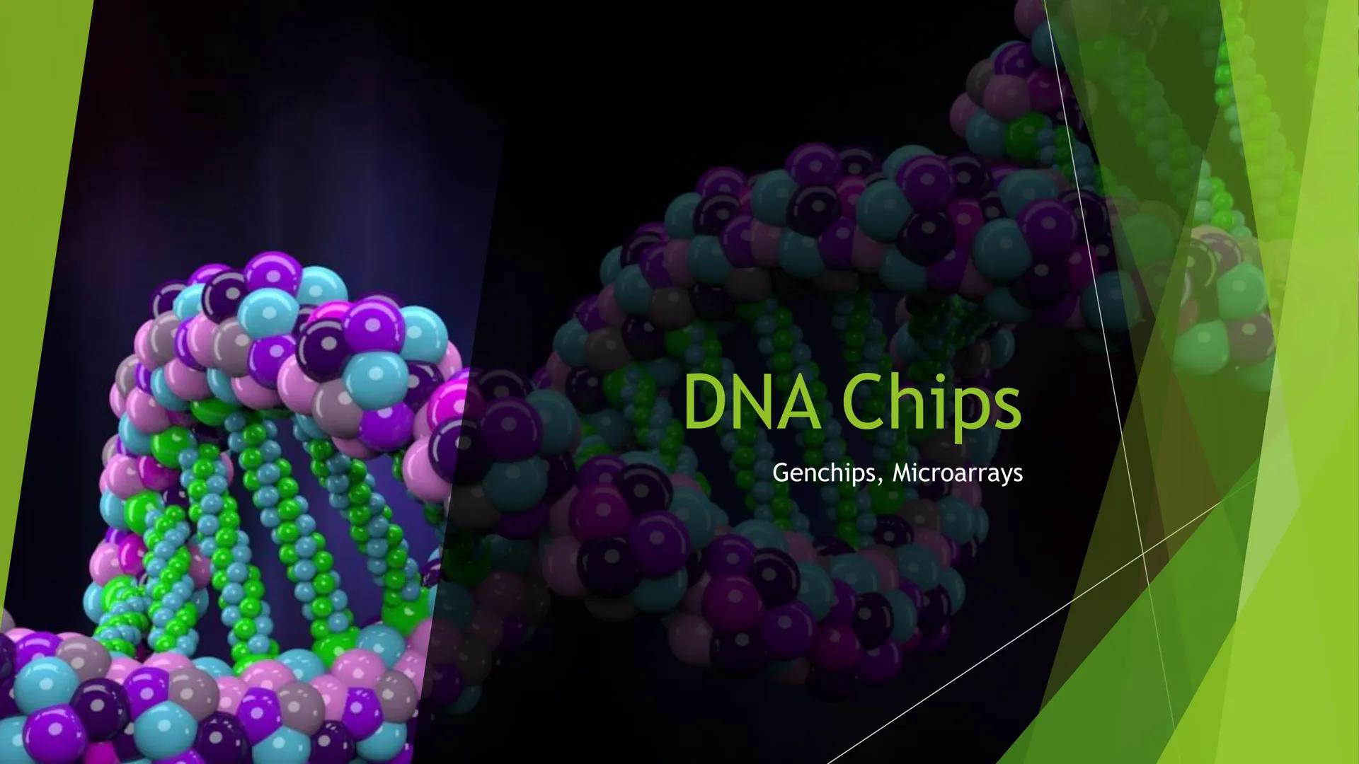 ||
Methoden
der
Gentechnik Inhalt
Genkartierung
DNA Hybridisierung
Was ist das?
Ablauf
Vorteile und Nutzen der Hybridisierung
Southern-Blott