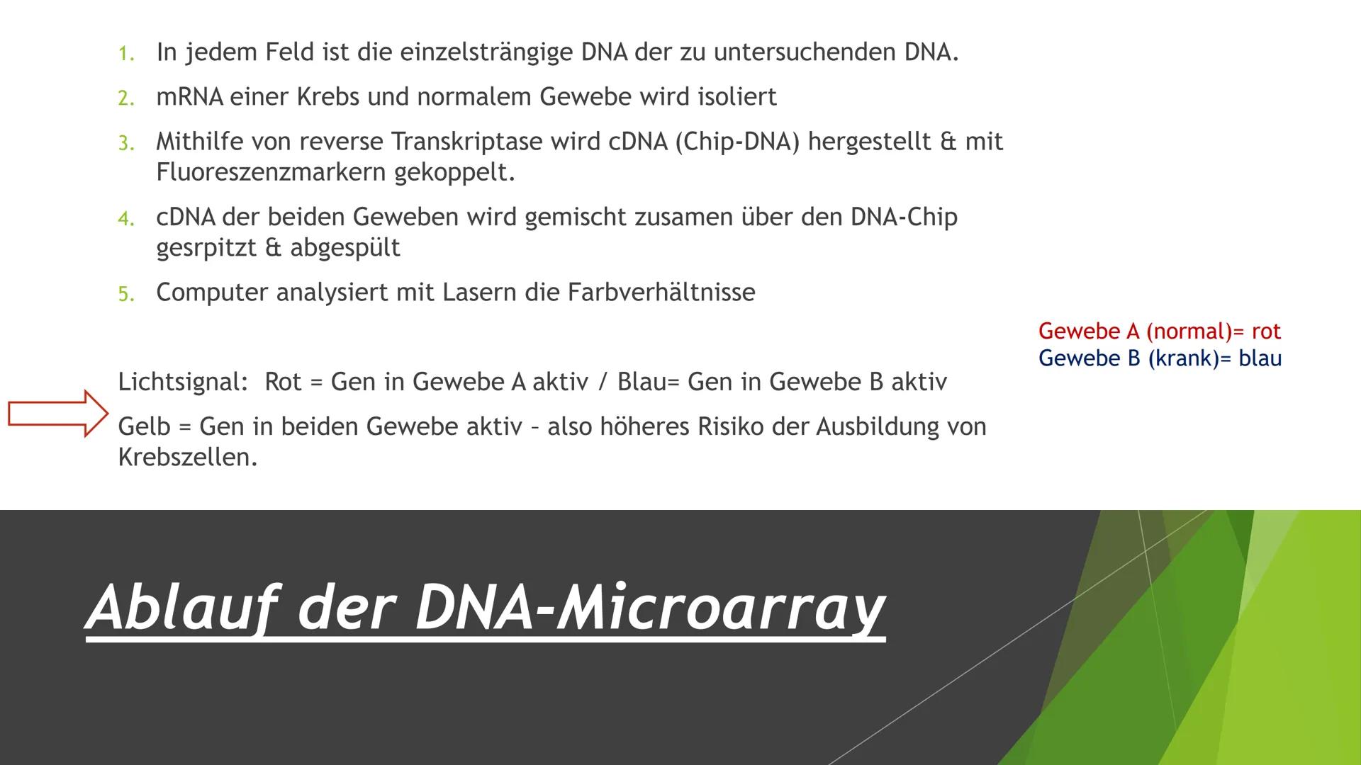 ||
Methoden
der
Gentechnik Inhalt
Genkartierung
DNA Hybridisierung
Was ist das?
Ablauf
Vorteile und Nutzen der Hybridisierung
Southern-Blott