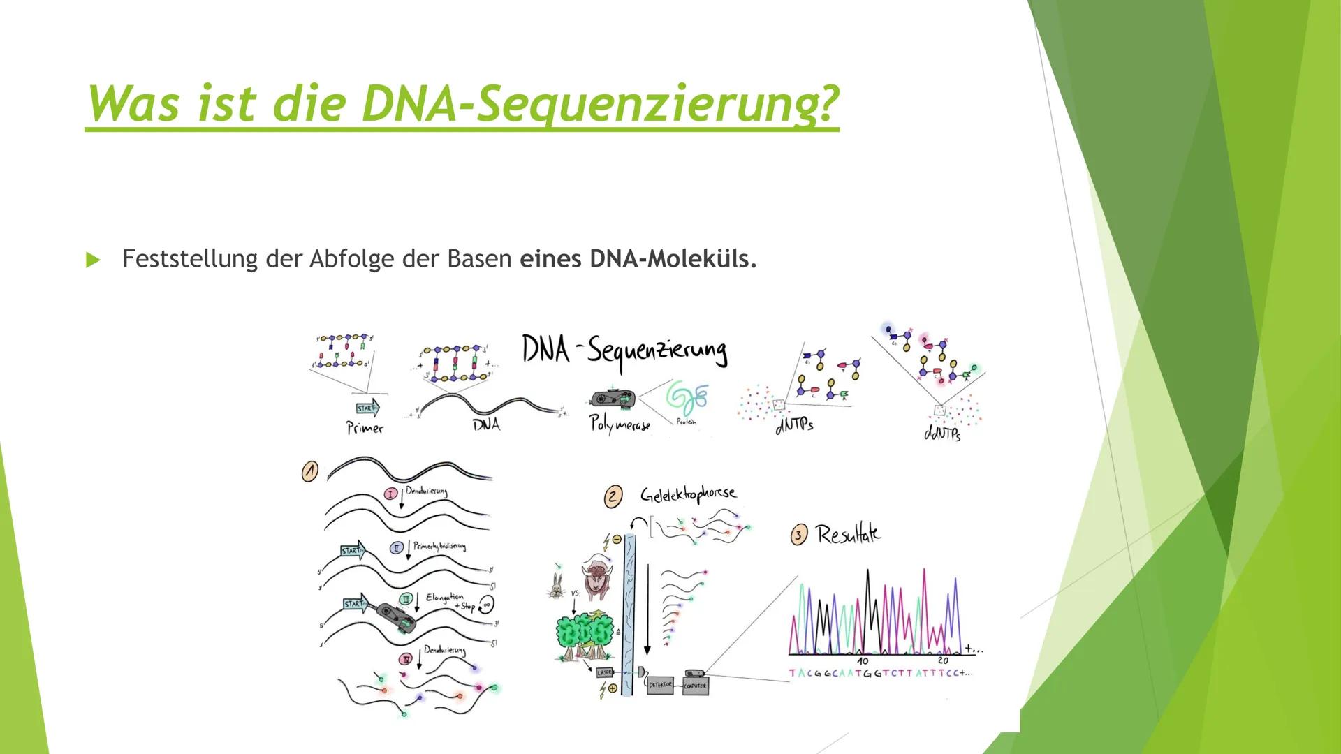 ||
Methoden
der
Gentechnik Inhalt
Genkartierung
DNA Hybridisierung
Was ist das?
Ablauf
Vorteile und Nutzen der Hybridisierung
Southern-Blott