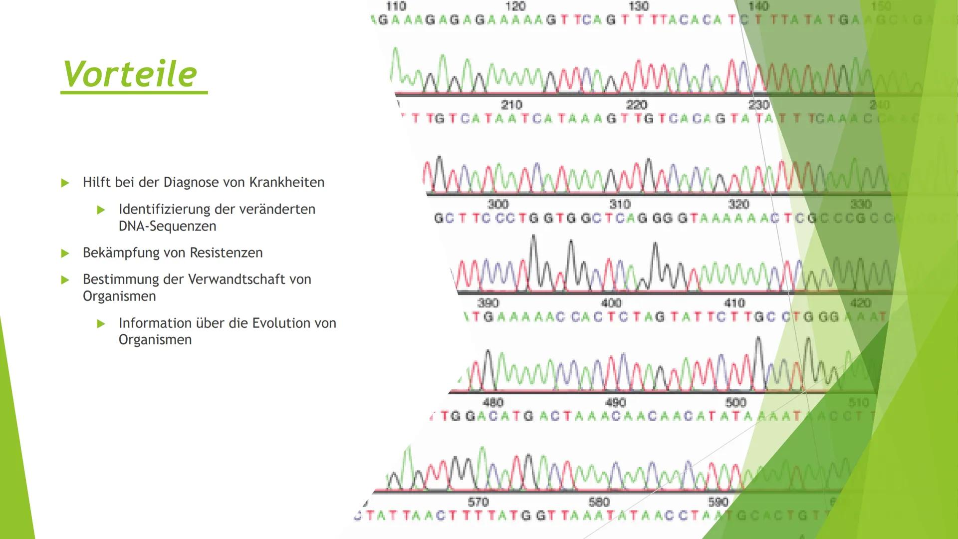 ||
Methoden
der
Gentechnik Inhalt
Genkartierung
DNA Hybridisierung
Was ist das?
Ablauf
Vorteile und Nutzen der Hybridisierung
Southern-Blott