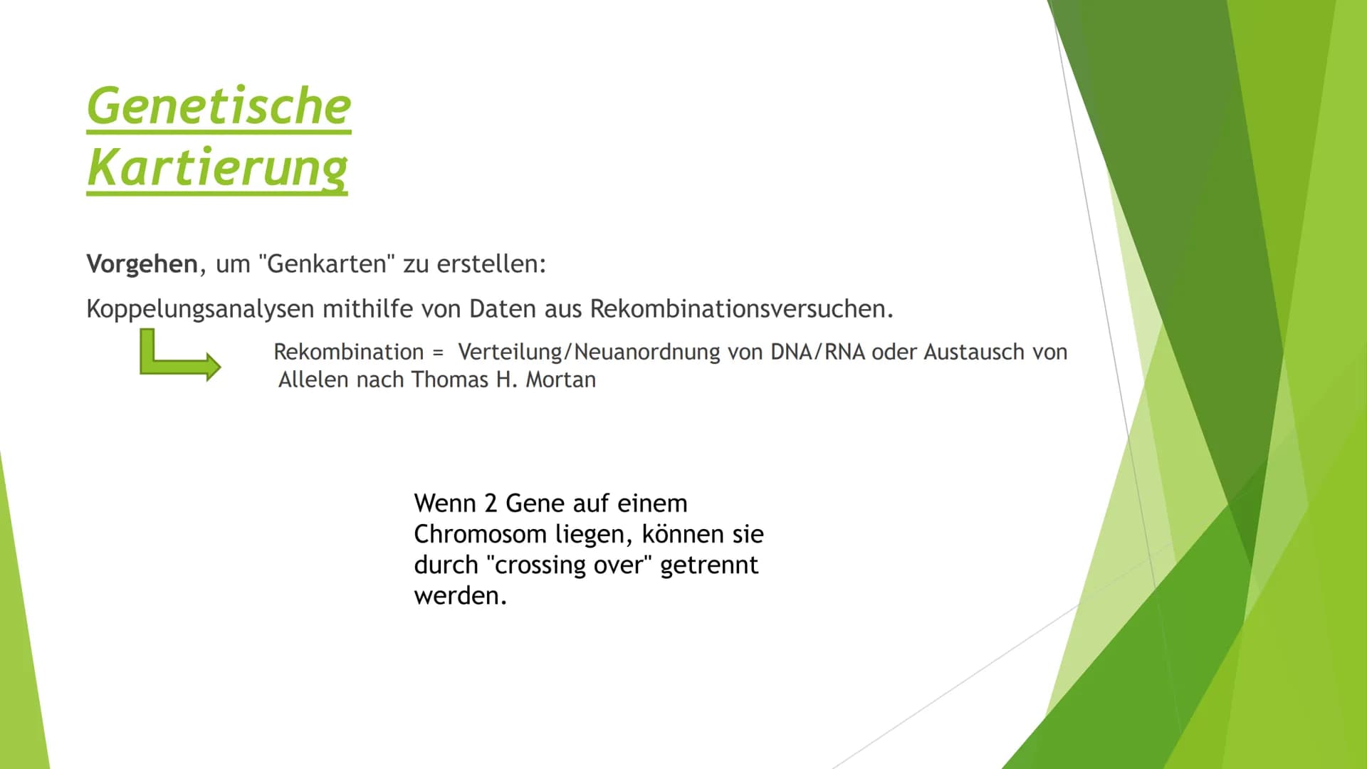 ||
Methoden
der
Gentechnik Inhalt
Genkartierung
DNA Hybridisierung
Was ist das?
Ablauf
Vorteile und Nutzen der Hybridisierung
Southern-Blott