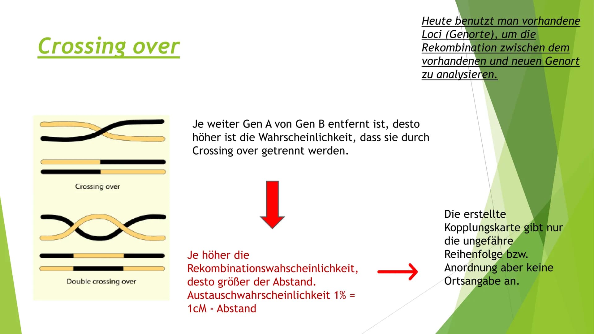 ||
Methoden
der
Gentechnik Inhalt
Genkartierung
DNA Hybridisierung
Was ist das?
Ablauf
Vorteile und Nutzen der Hybridisierung
Southern-Blott