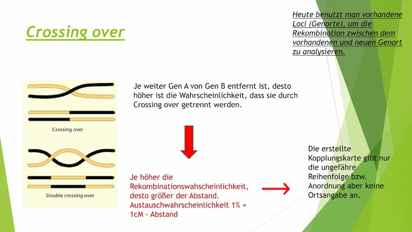 ||
Methoden
der
Gentechnik Inhalt
Genkartierung
DNA Hybridisierung
Was ist das?
Ablauf
Vorteile und Nutzen der Hybridisierung
Southern-Blott