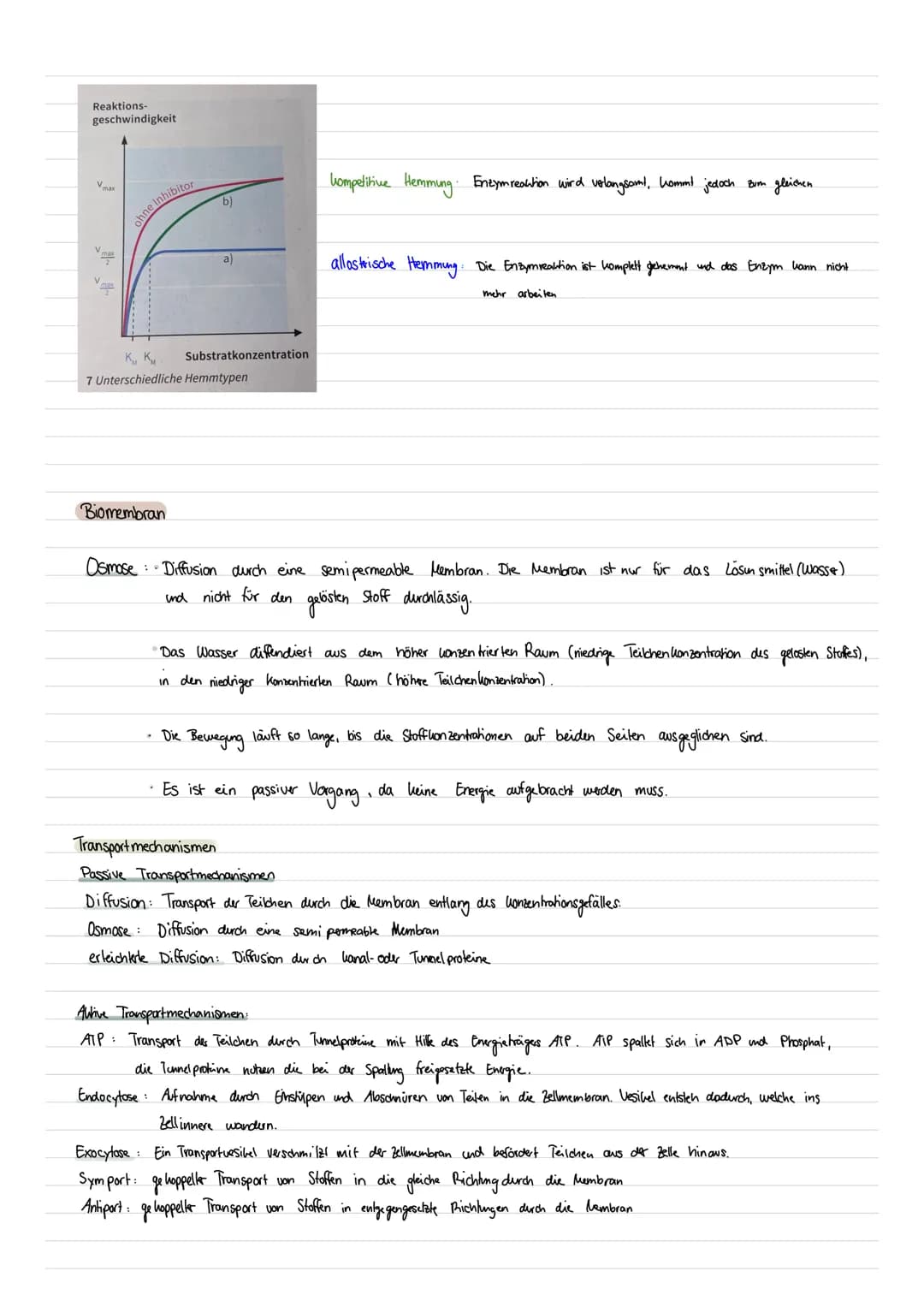 BIO
LERNZETTEL
Enzyme als Biokatalysatoren
Was sind Enzyme ?
Enzyme sind Proteine mit besonderen Funktionen in Zellen
->Als Bio katalysatore