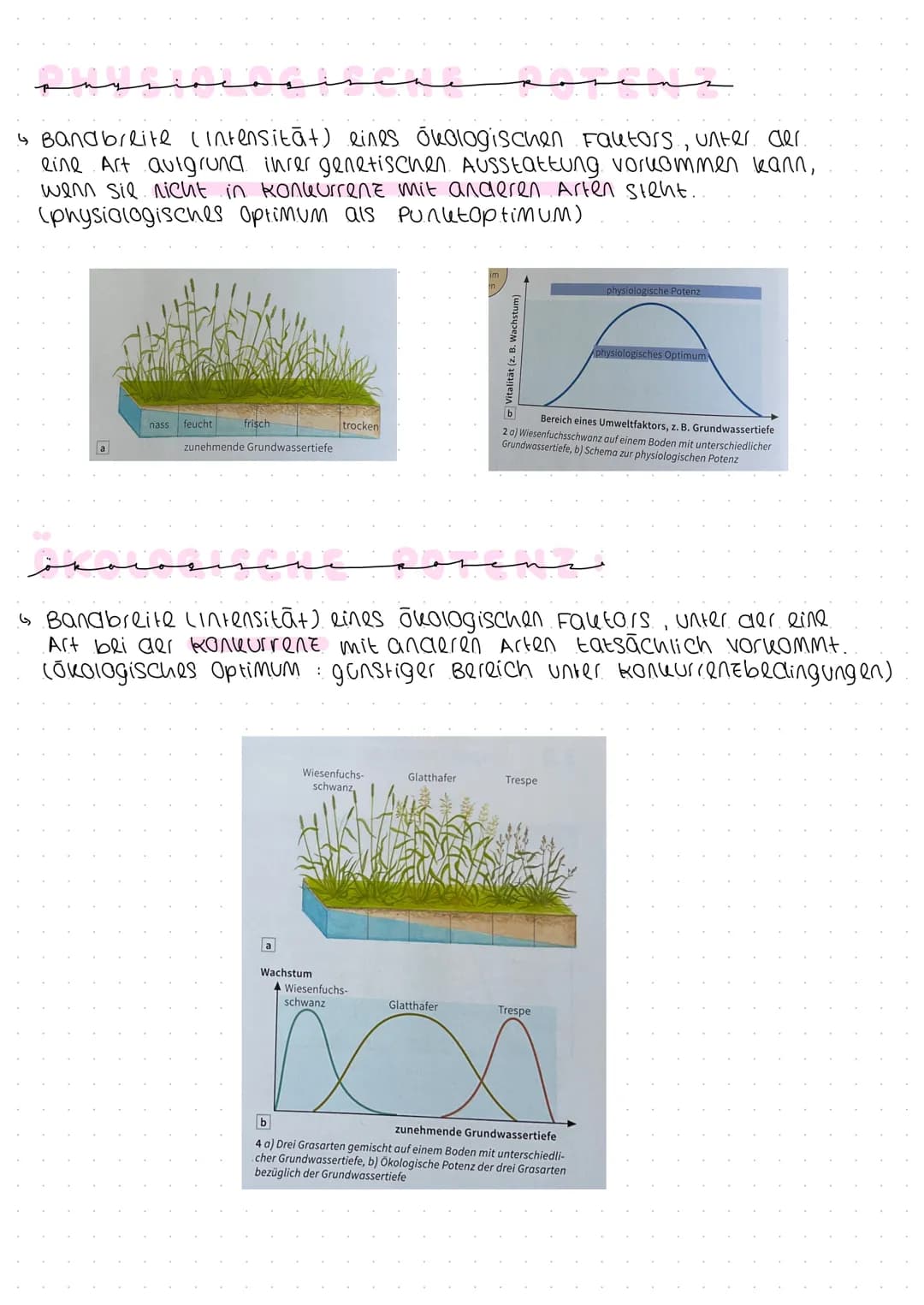 →>>>
OKALAGIE
Ökologie ist eine wissenschaft, die erforscht, wie sich
Lebewesen und Umwelt gegenseitig beeinflussen.
OBIOTISCHER FAKTOR : }
