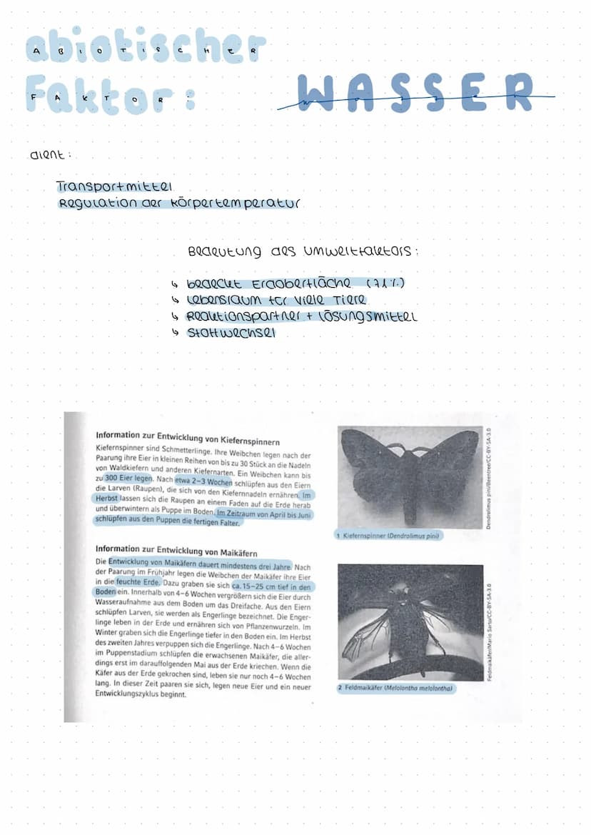 →>>>
OKALAGIE
Ökologie ist eine wissenschaft, die erforscht, wie sich
Lebewesen und Umwelt gegenseitig beeinflussen.
OBIOTISCHER FAKTOR : }
