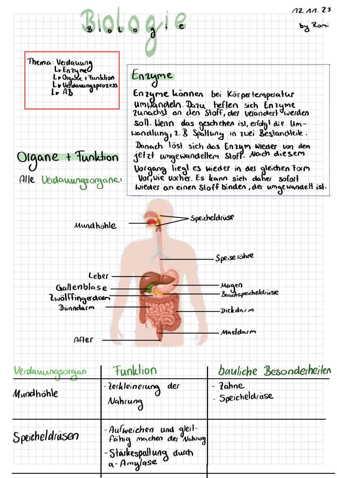 Biologie

12.11.23
by Romi



Thema: Verdauung
Lo En 24 me
uung
LoOrgane + Funktion
L
Verdauungsprozess
L AB

Enzyme
Enzyme können bei Körpe