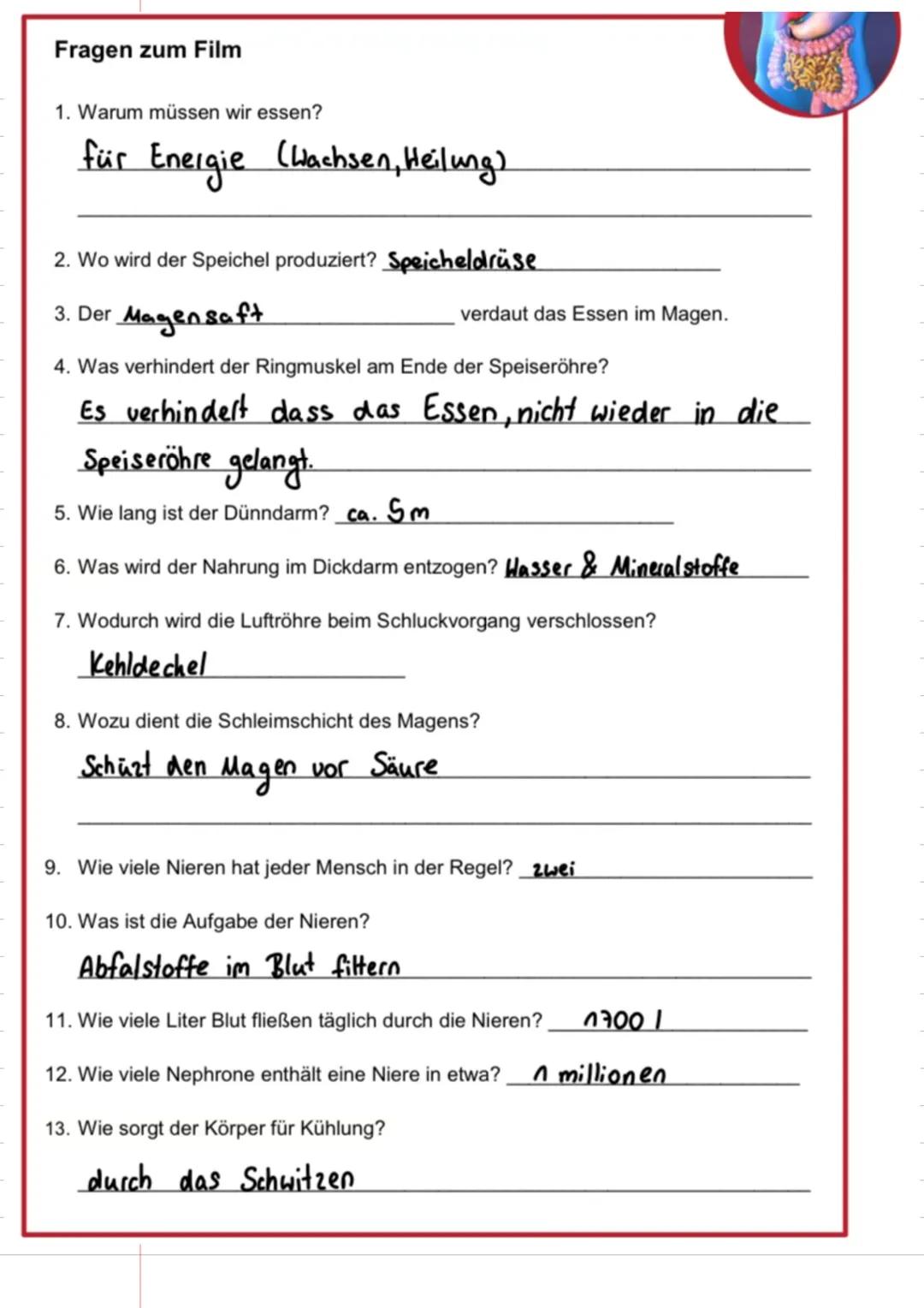 Biologie

12.11.23
by Romi



Thema: Verdauung
Lo En 24 me
uung
LoOrgane + Funktion
L
Verdauungsprozess
L AB

Enzyme
Enzyme können bei Körpe