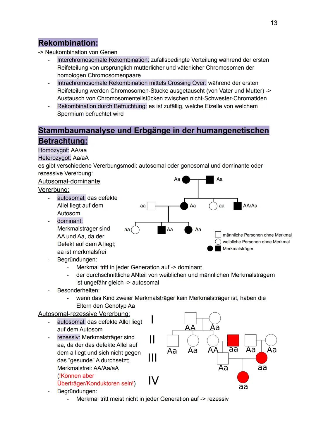 Genetik:
Grundlagen der Genetik
Mutationen
DNA und RNA
Gene
Biologie GK: Themenübersicht
Replikation
Meiose und Rekombination
Analyse von Fa