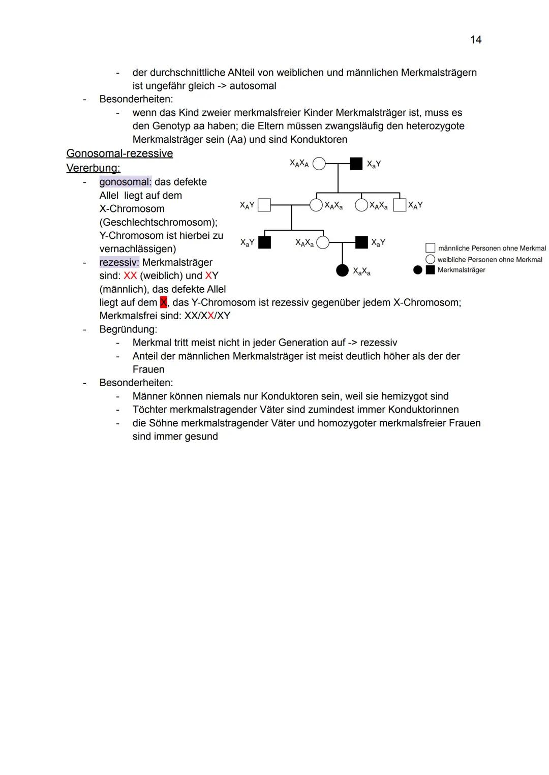 Genetik:
Grundlagen der Genetik
Mutationen
DNA und RNA
Gene
Biologie GK: Themenübersicht
Replikation
Meiose und Rekombination
Analyse von Fa