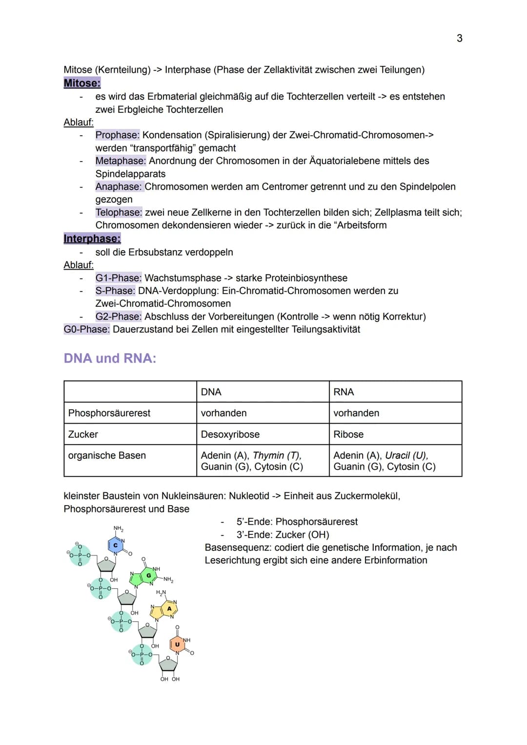 Genetik:
Grundlagen der Genetik
Mutationen
DNA und RNA
Gene
Biologie GK: Themenübersicht
Replikation
Meiose und Rekombination
Analyse von Fa