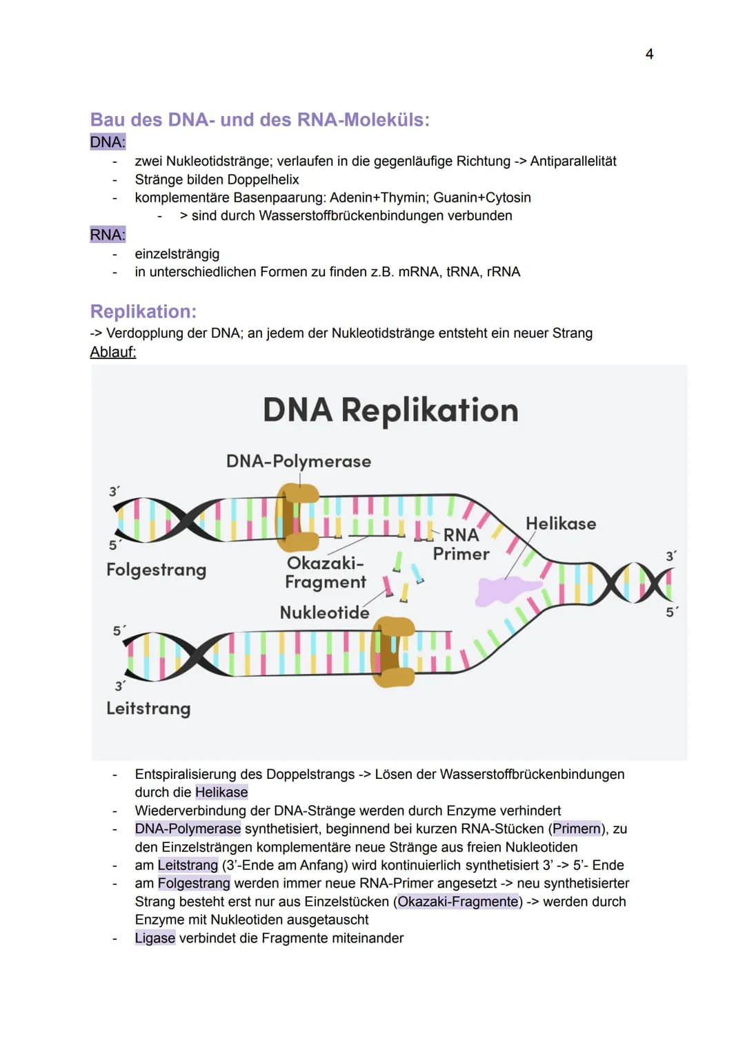 Genetik:
Grundlagen der Genetik
Mutationen
DNA und RNA
Gene
Biologie GK: Themenübersicht
Replikation
Meiose und Rekombination
Analyse von Fa