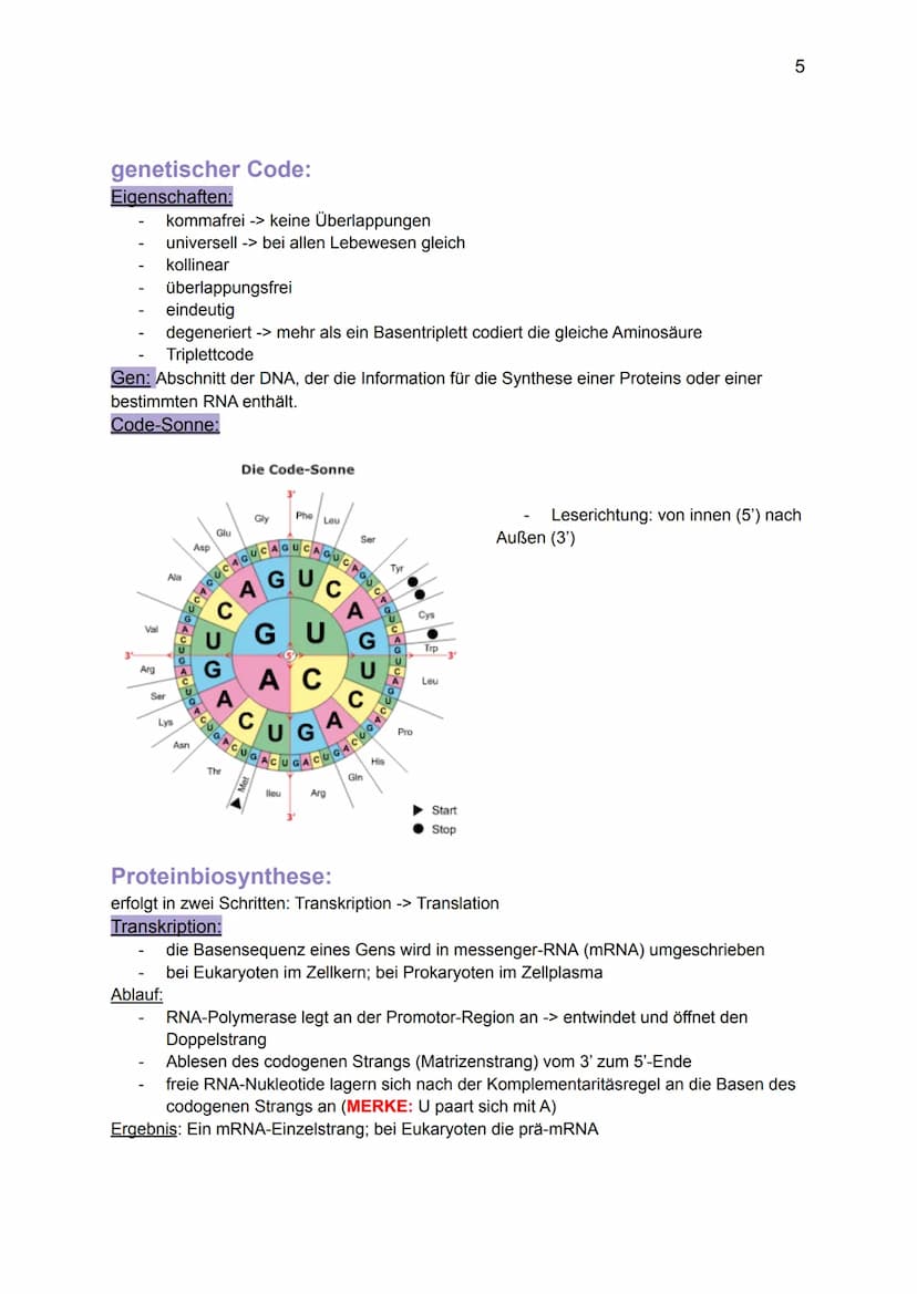 Genetik:
Grundlagen der Genetik
Mutationen
DNA und RNA
Gene
Biologie GK: Themenübersicht
Replikation
Meiose und Rekombination
Analyse von Fa