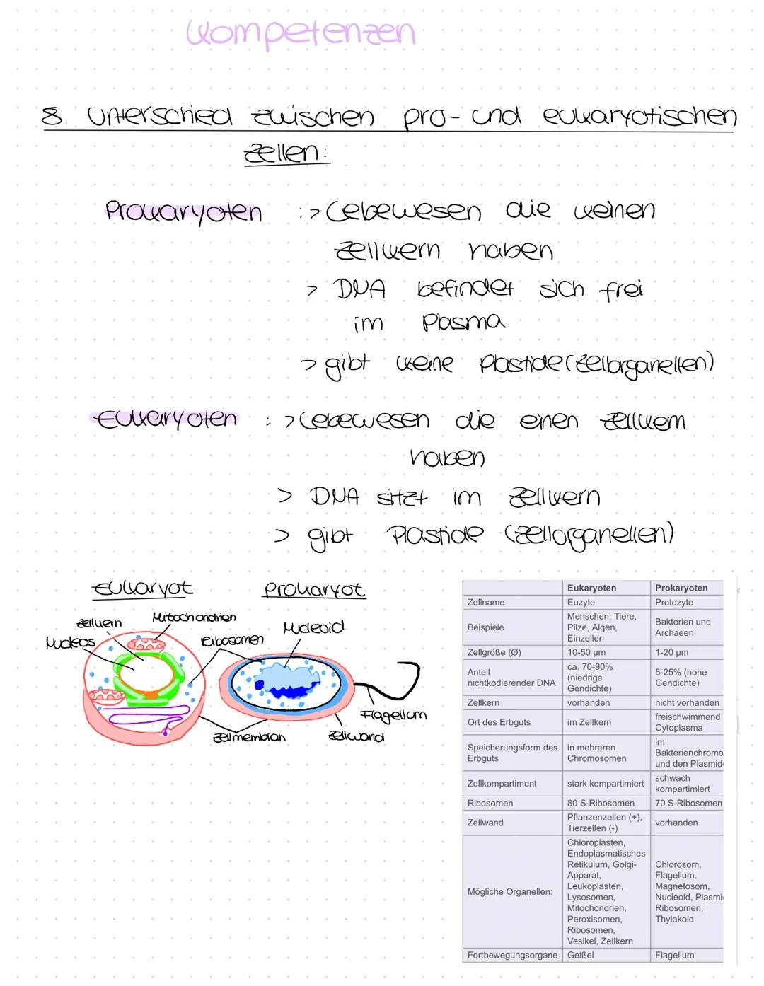 LERNZETTEL
Biologie
1)-Eigenschaften von gellen
Vermehrung durch Zellteilung
Staff- und Energiewechsel
Reaktion auf Reise
Möglichkeit der Be