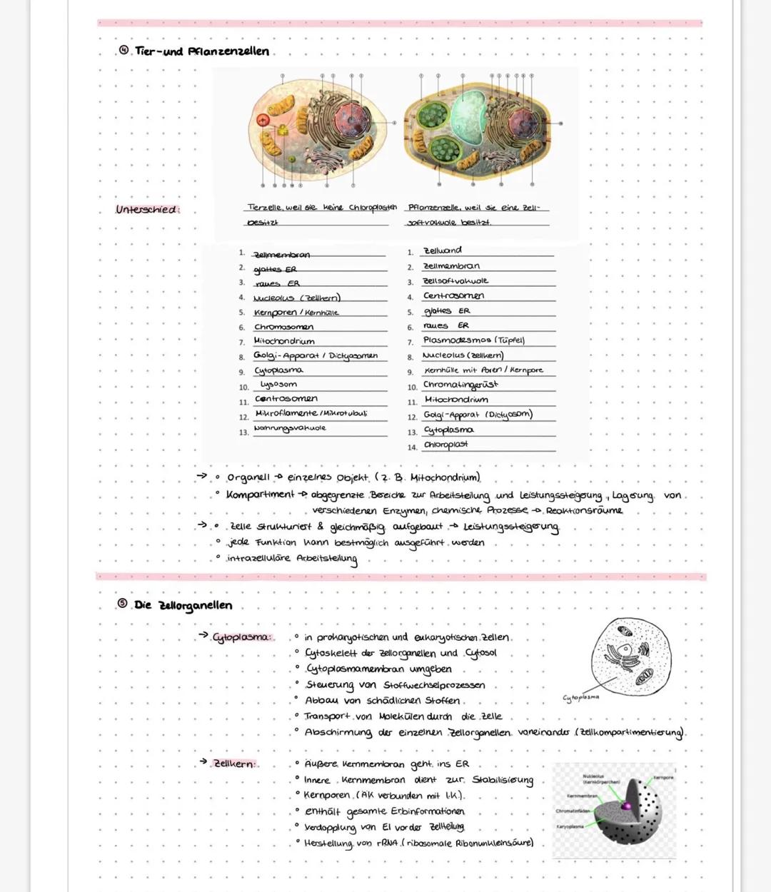 LERNZETTEL
Biologie
1)-Eigenschaften von gellen
Vermehrung durch Zellteilung
Staff- und Energiewechsel
Reaktion auf Reise
Möglichkeit der Be