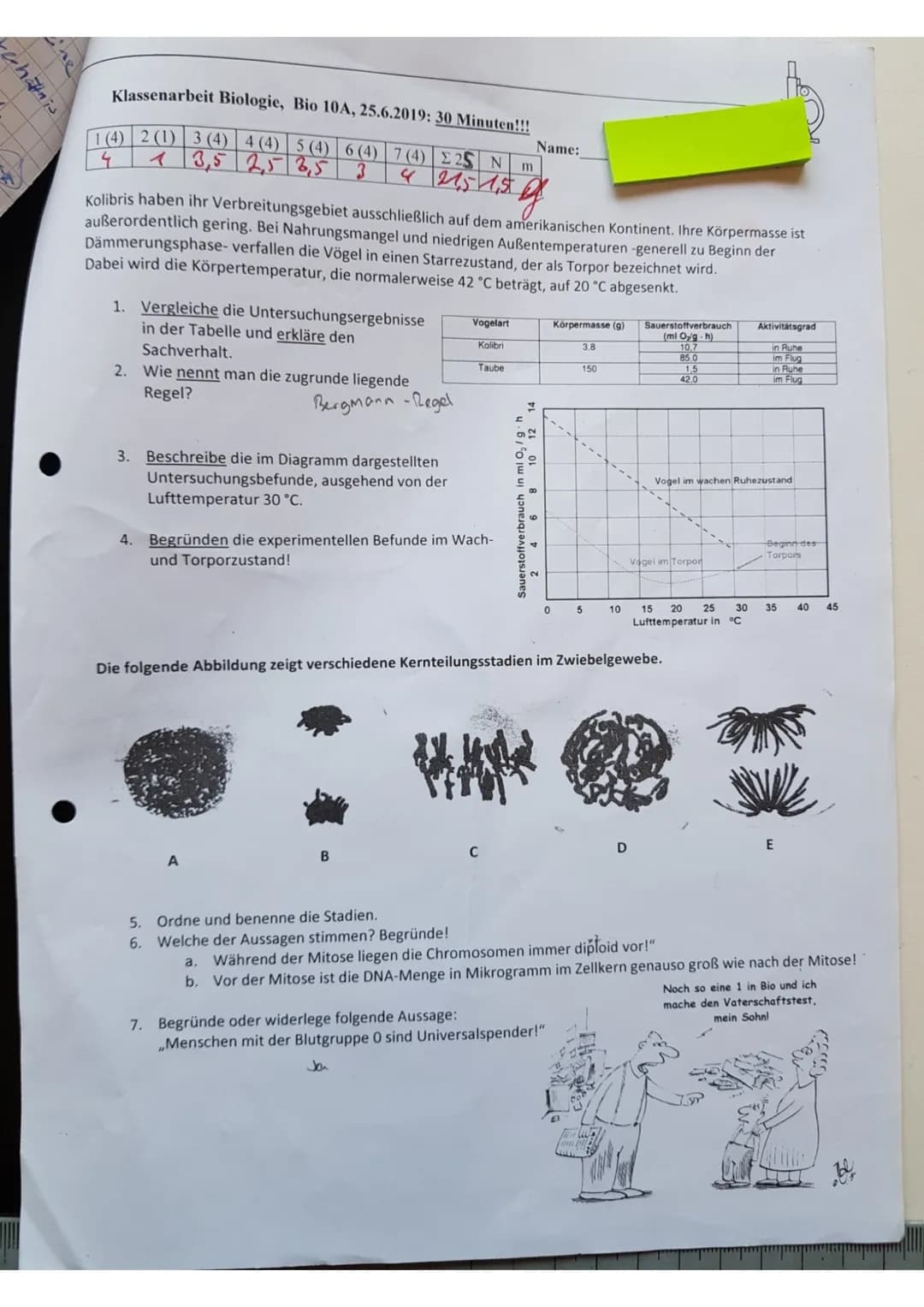 rechanis
ne
Klassenarbeit Biologie, Bio 10A, 25.6.2019: 30 Minuten!!!
1 (4) 2 (1) 3 (4) 4 (4) 5 (4) 6 (4) 7 (4) E25 N
4
13,5 2,5 3,5 3
Kolib