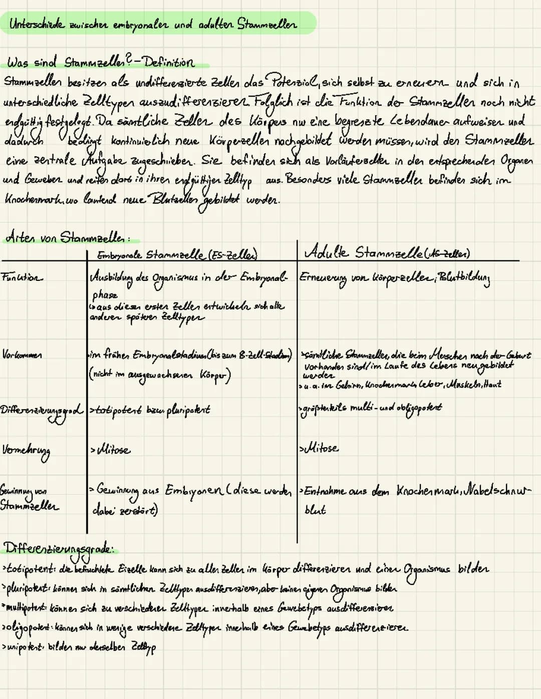 Adulte und embryonale Stammzellen im Vergleich 