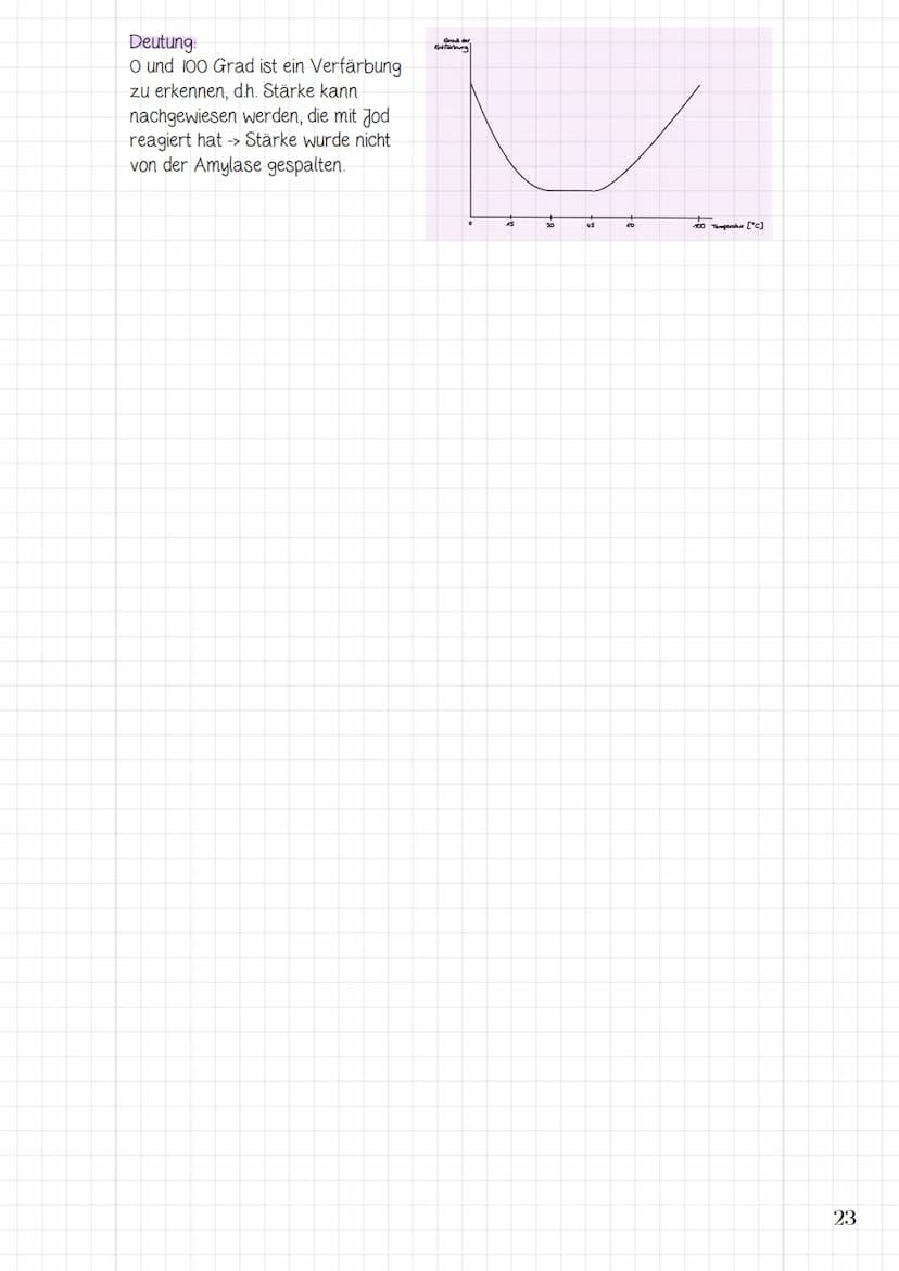 2. Biomoleküle und
molekular Genetik
2.1 Biomoleküle
-> Bau von Makromolekülen (Proteine, Nukleinsäuren)
-> Funktion von Proteinen und Nukle