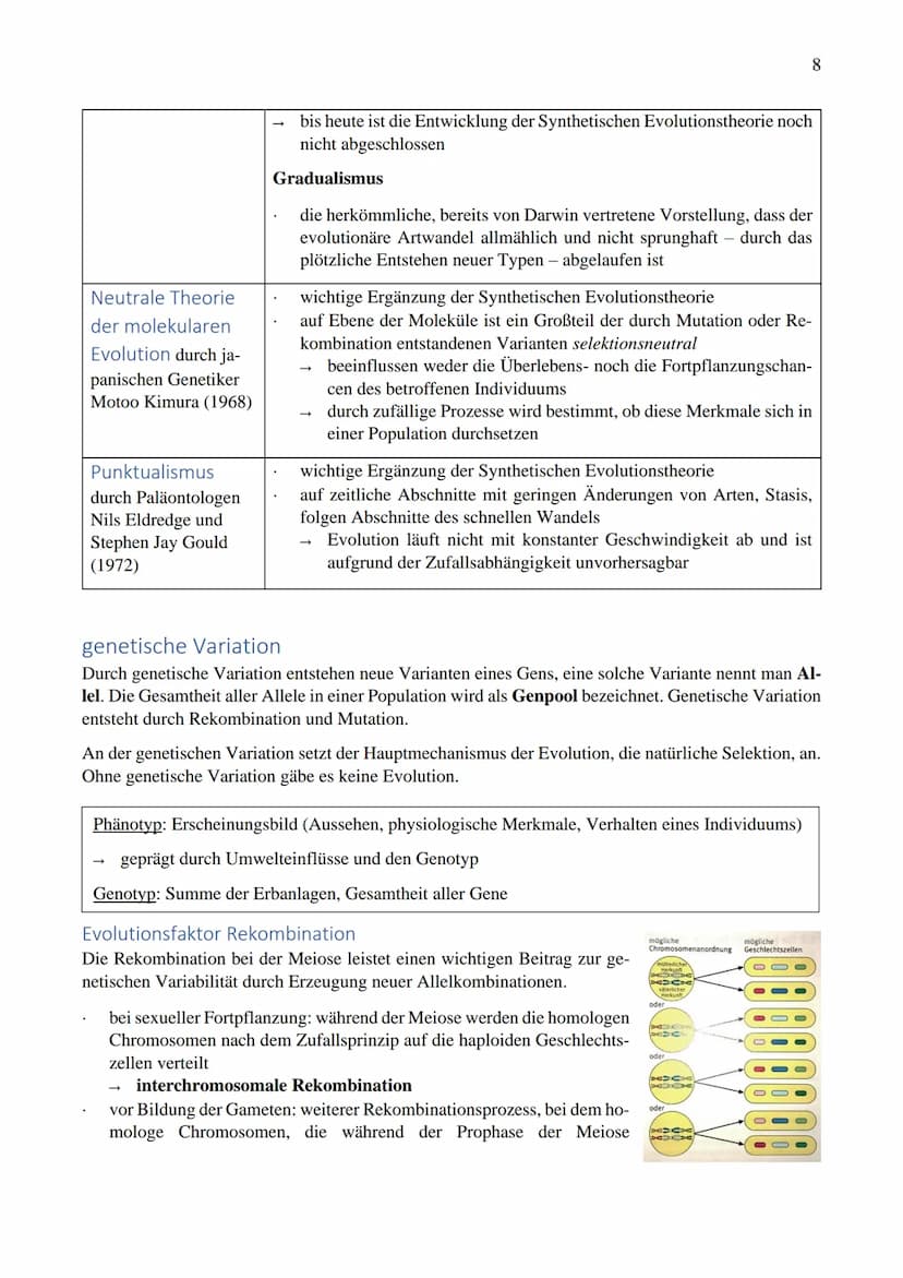 Inhaltsverzeichnis
Evolution.......
Entwicklung des Evolutionsgedankens..
Jean Baptiste de Lamarck.
Charles Darwin
Kreationismus
Intelligent