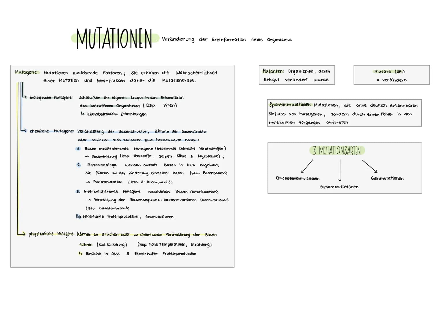 MUTATIONEN
Mutagene: Mutationen auslösende Faktoren; Sie erhöhen die wahrscheinlichkeit
einer Mutation und beeinflussen daher die
biologisch