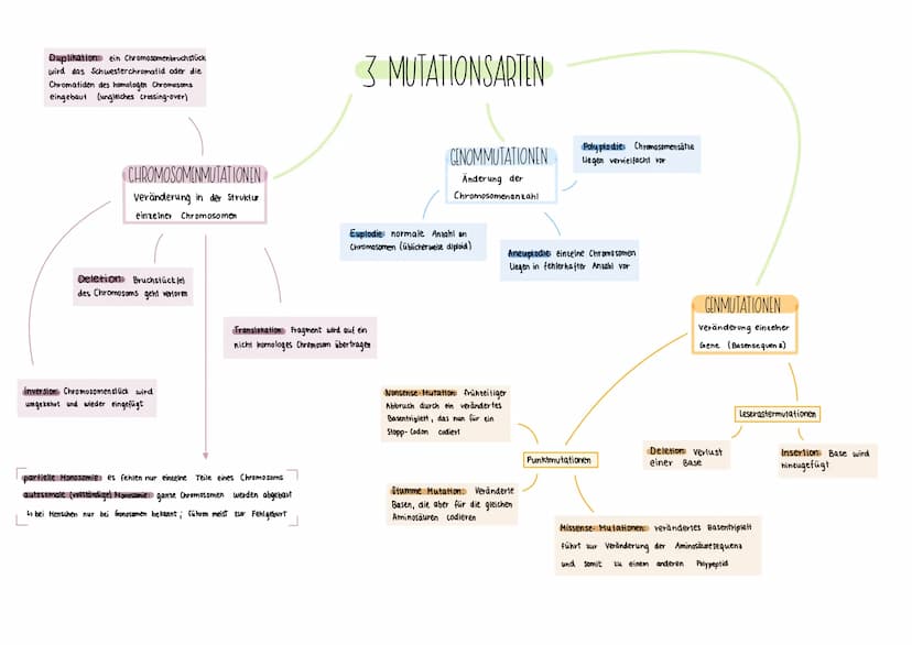 MUTATIONEN
Mutagene: Mutationen auslösende Faktoren; Sie erhöhen die wahrscheinlichkeit
einer Mutation und beeinflussen daher die
biologisch