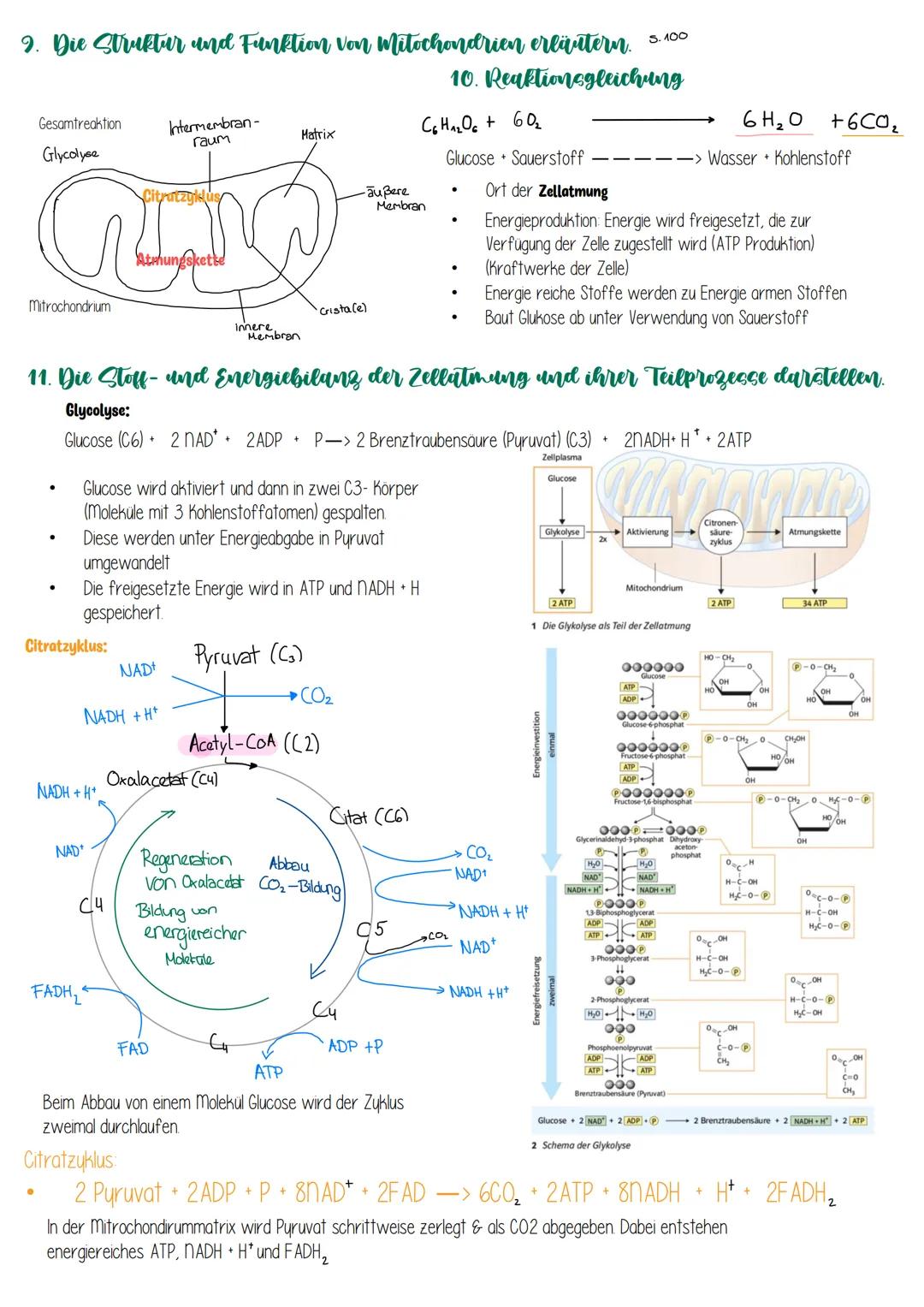 # Biologie 1. KA-Biomembran & Zelmembran

## 1. Die Bedeutung von Biomembranen erläutern

- Kontrolle von Stoffeiin- und Austritt
- Komparti