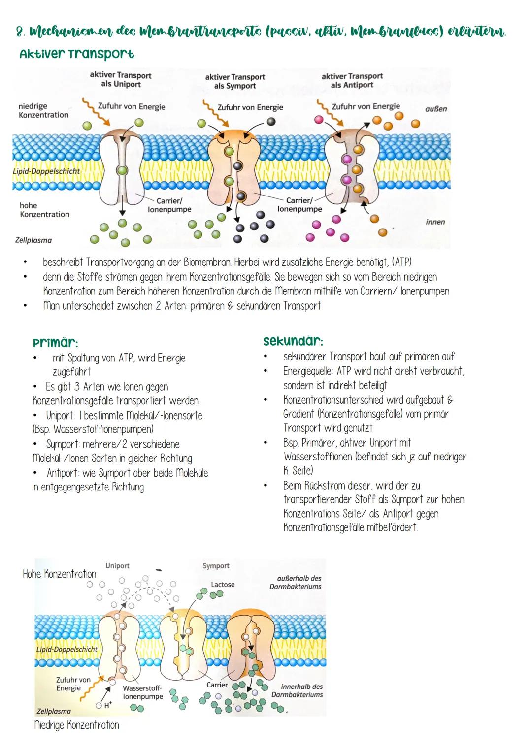 # Biologie 1. KA-Biomembran & Zelmembran

## 1. Die Bedeutung von Biomembranen erläutern

- Kontrolle von Stoffeiin- und Austritt
- Komparti
