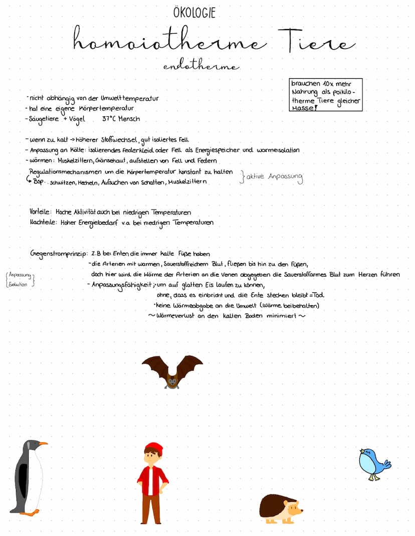 Biosphäre. Als Biosphäre werden alle Okosysteme der Welt bezeichnet.
Biom:
Ein Biom besteht aus mehreren Biotopen und sie hat eine tierische
