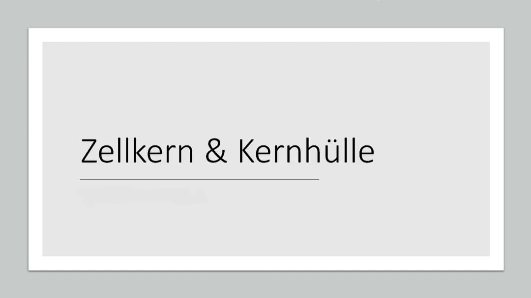 Zellkern und Kernhülle 