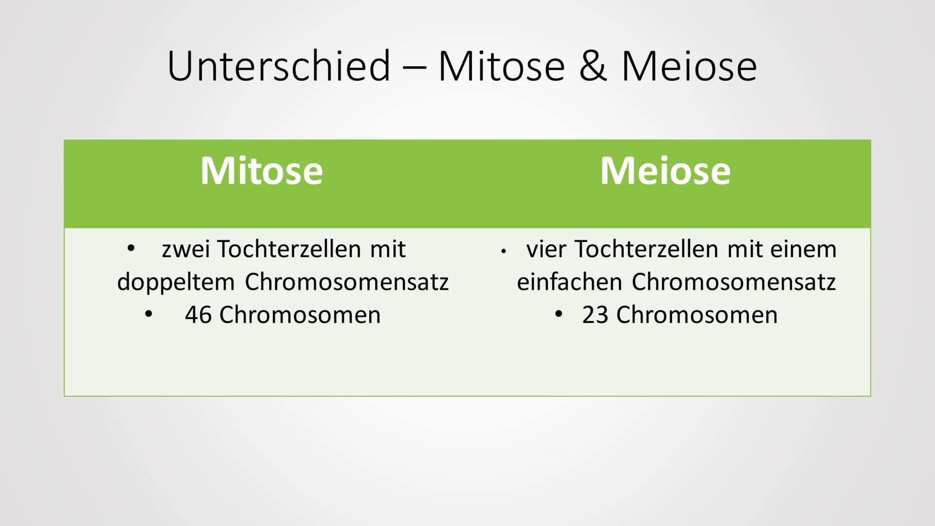 Zellkern & Kernhülle Gliederung
1. Zellkern
1.1 Was ist der Zellkern?
1.2 Aufgaben eines Zellkerns
1.3 Aufbau
1.4 Der Zellkern in einer Pfla