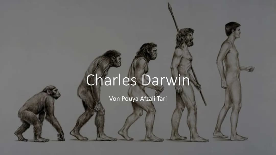 Darwin Theorie einfach erklärt: Wird die Evolutionstheorie widerlegt?