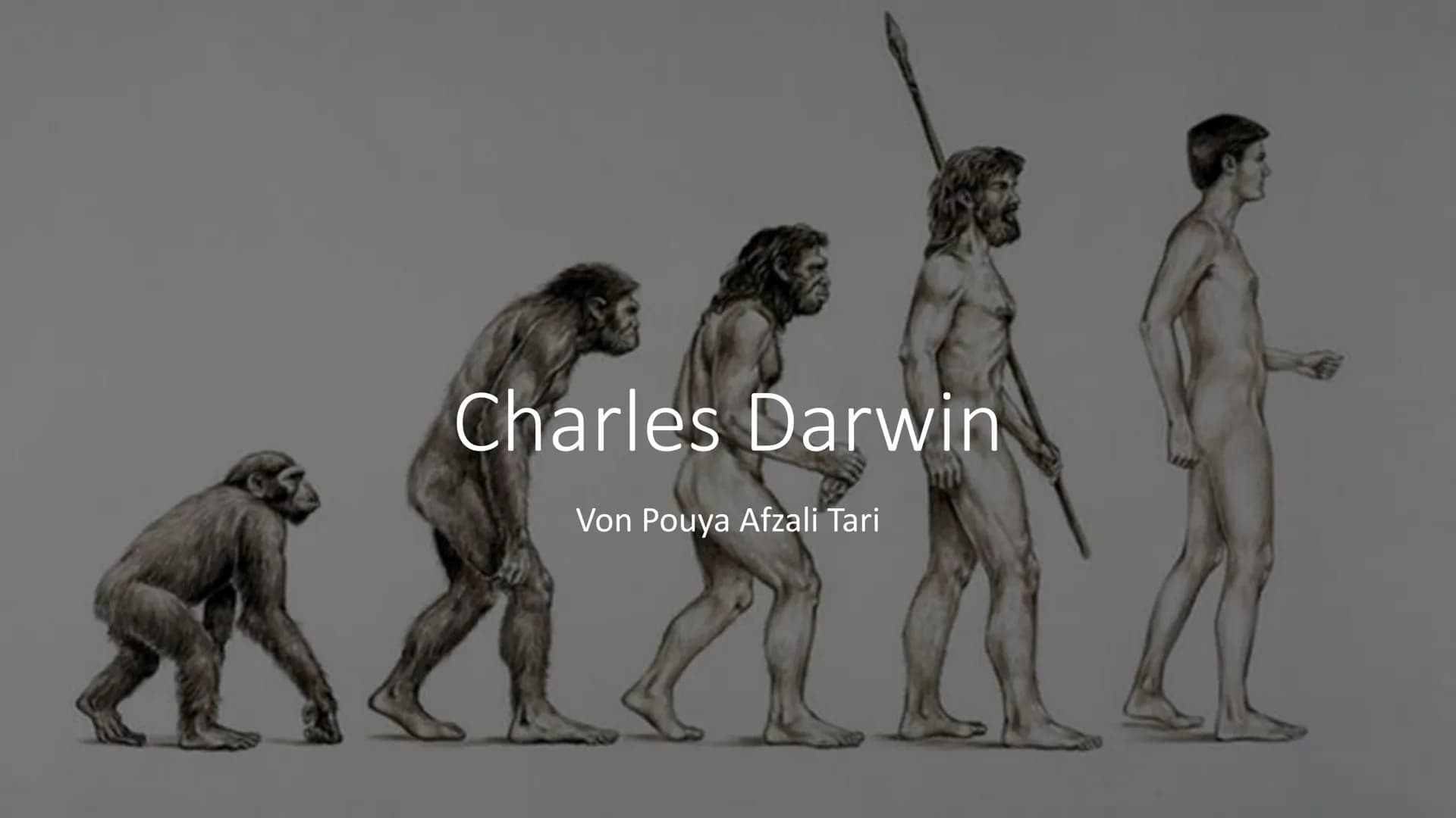Charles Darwin
Von Pouya Afzali Tari Übersicht
●
●
Kurzbiografie
Abstammungstheorie
Evolutionstheorie
→Beispiele
Reaktionen
Quellen Herkunft