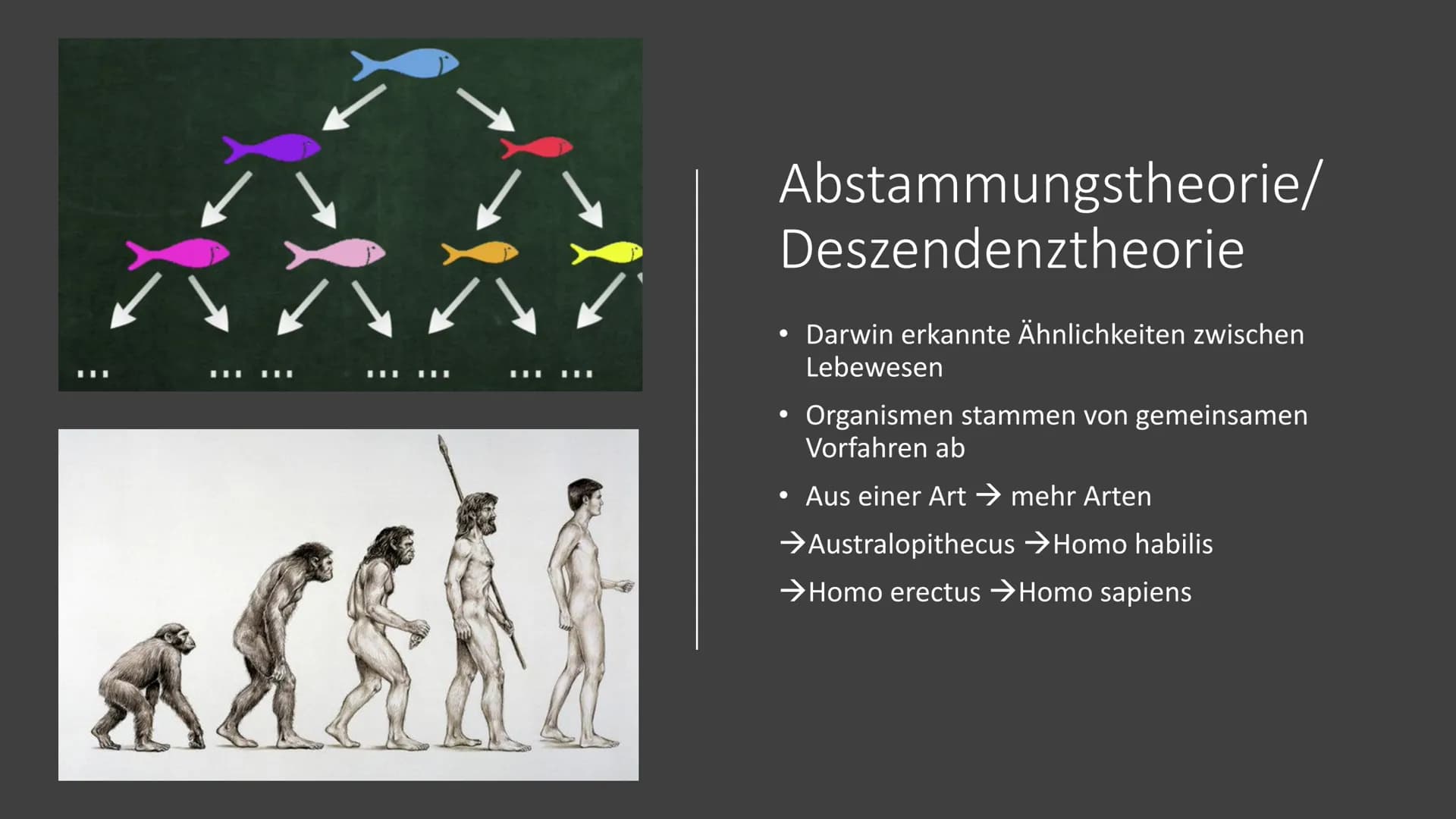 Charles Darwin
Von Pouya Afzali Tari Übersicht
●
●
Kurzbiografie
Abstammungstheorie
Evolutionstheorie
→Beispiele
Reaktionen
Quellen Herkunft