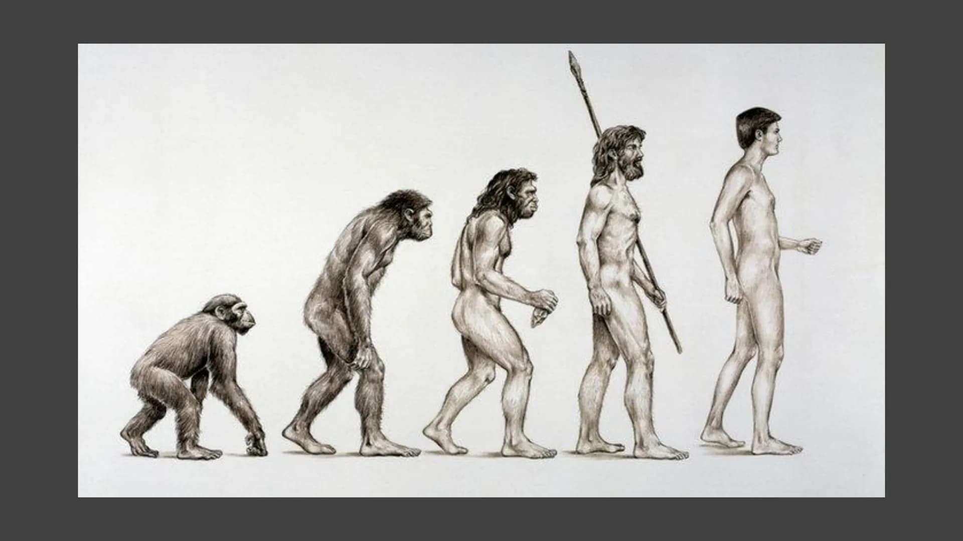 Charles Darwin
Von Pouya Afzali Tari Übersicht
●
●
Kurzbiografie
Abstammungstheorie
Evolutionstheorie
→Beispiele
Reaktionen
Quellen Herkunft