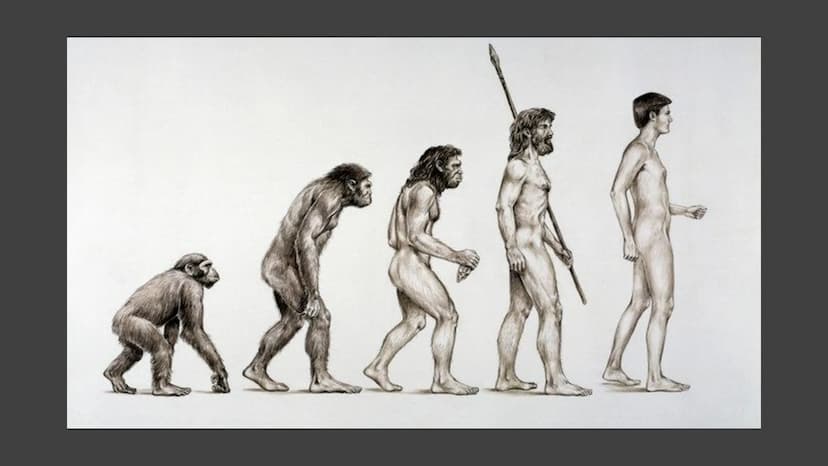 Charles Darwin
Von Pouya Afzali Tari Übersicht
●
●
Kurzbiografie
Abstammungstheorie
Evolutionstheorie
→Beispiele
Reaktionen
Quellen Herkunft