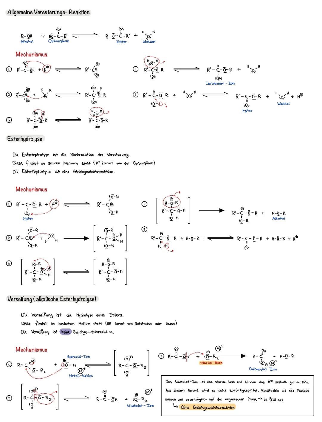 Veresterung, Esterhydrolyse und Verseifung