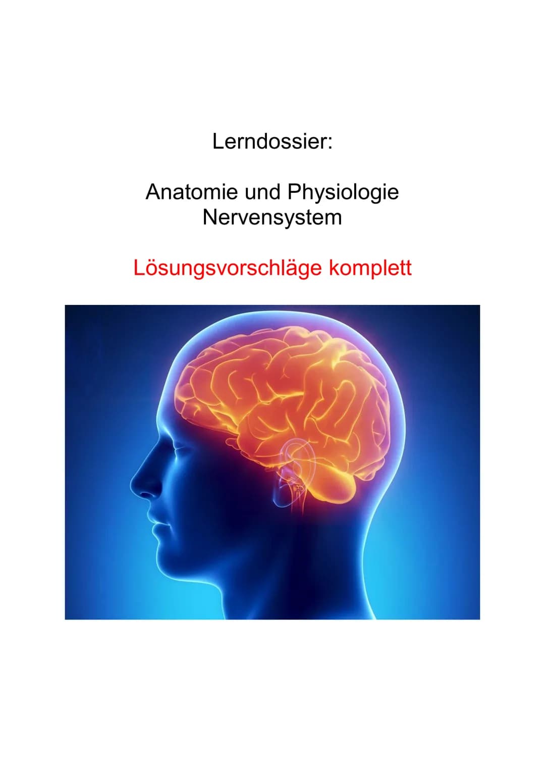 Lerndossier:
Anatomie und Physiologie
Nervensystem
Lösungsvorschläge komplett Anatomie/ Physiologie des Nervensystems
Ausgangslage
Mit diese