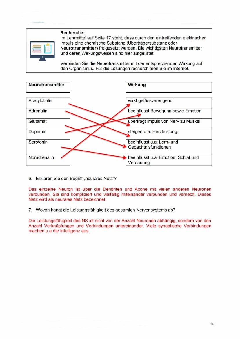 Lerndossier:
Anatomie und Physiologie
Nervensystem
Lösungsvorschläge komplett Anatomie/ Physiologie des Nervensystems
Ausgangslage
Mit diese