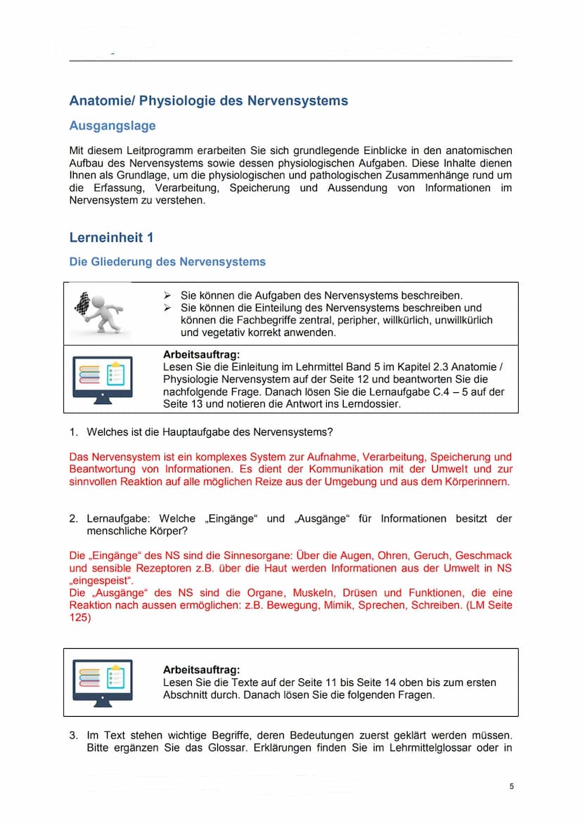 Lerndossier:
Anatomie und Physiologie
Nervensystem
Lösungsvorschläge komplett Anatomie/ Physiologie des Nervensystems
Ausgangslage
Mit diese