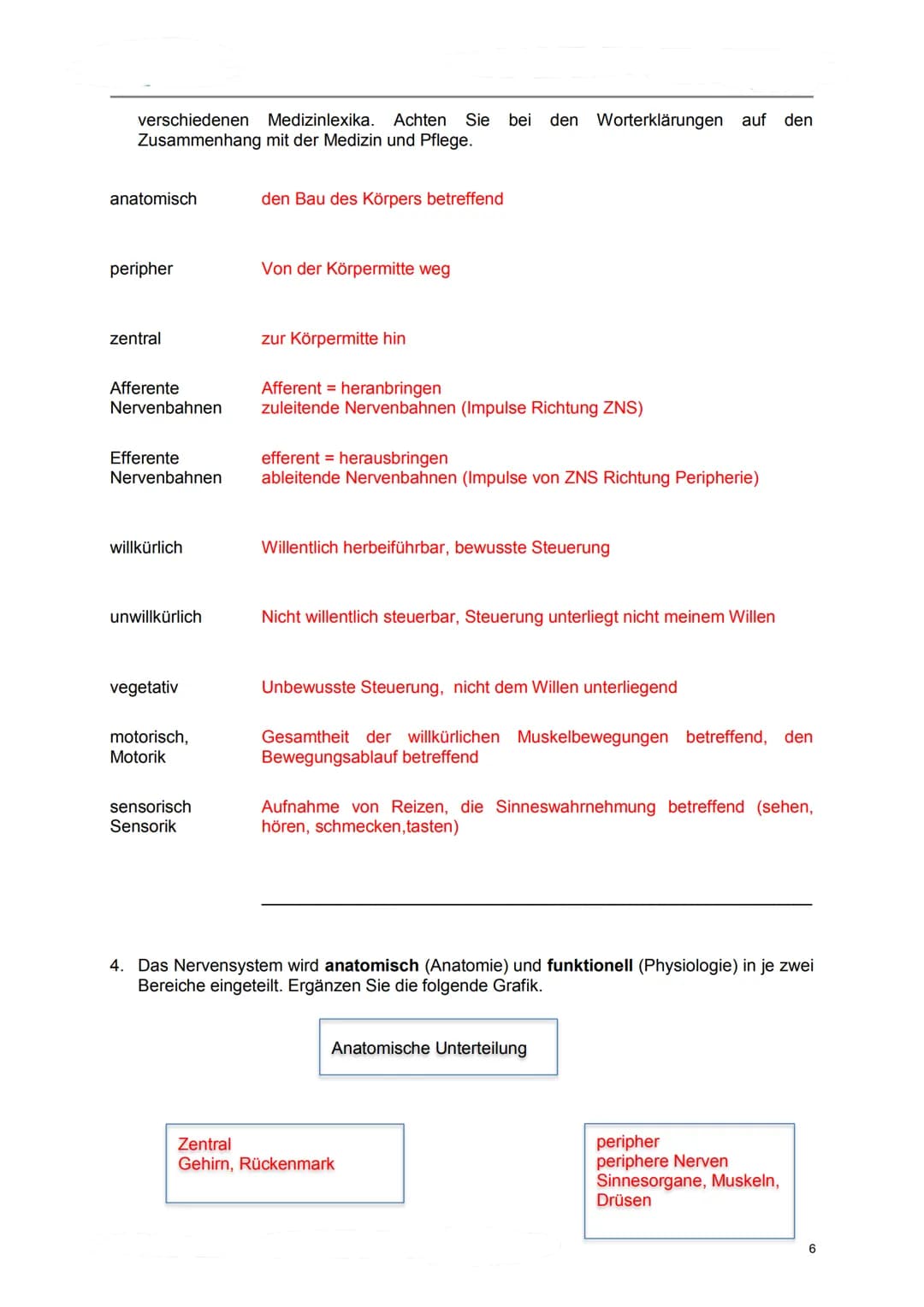 Lerndossier:
Anatomie und Physiologie
Nervensystem
Lösungsvorschläge komplett Anatomie/ Physiologie des Nervensystems
Ausgangslage
Mit diese