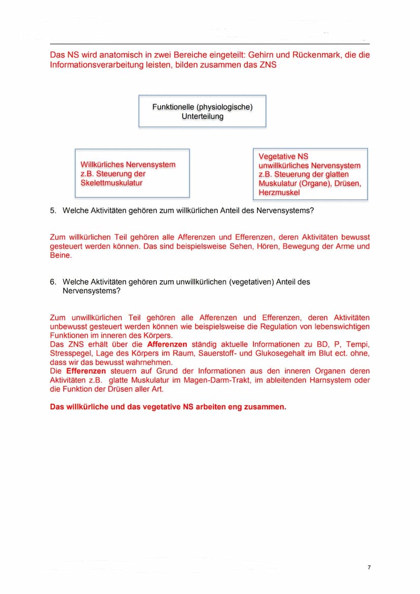 Lerndossier:
Anatomie und Physiologie
Nervensystem
Lösungsvorschläge komplett Anatomie/ Physiologie des Nervensystems
Ausgangslage
Mit diese