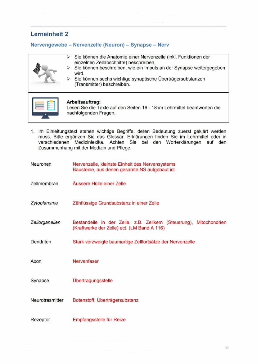 Lerndossier:
Anatomie und Physiologie
Nervensystem
Lösungsvorschläge komplett Anatomie/ Physiologie des Nervensystems
Ausgangslage
Mit diese