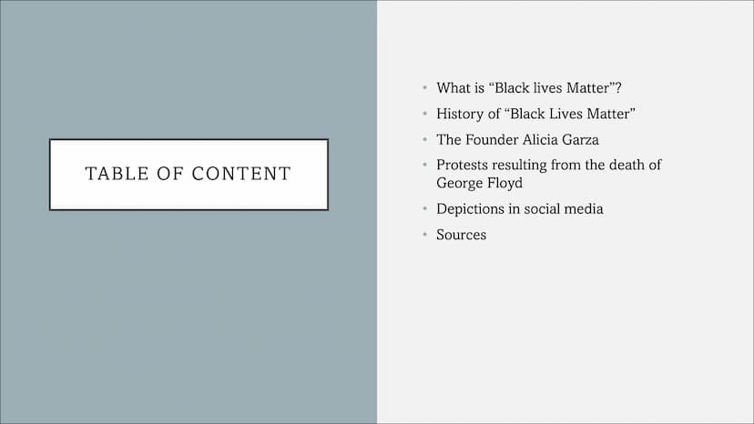 BLACK LIVES MATTER
A presentation by
Riccardo and Cedric TABLE OF CONTENT
●
●
●
●
What is "Black lives Matter"?
History of "Black Lives Matt