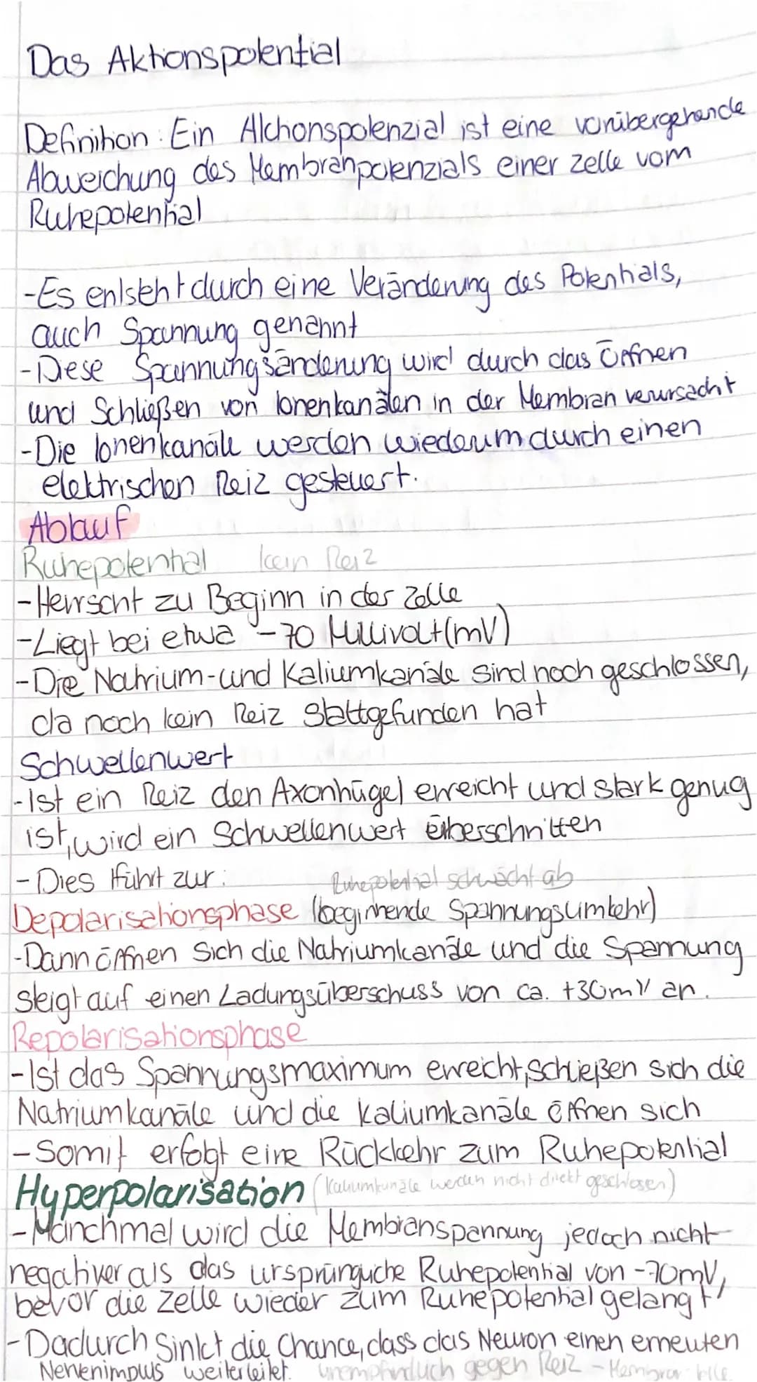 Aktionspotential