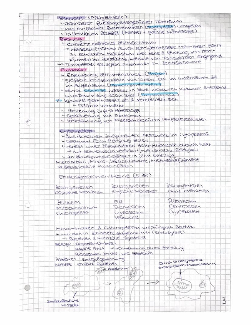 Bio
Kriterien des Lebens
Stoffwechsel
Laufhanme & Abgabe von Stoffen
Reizbarkeit
Creagieren auf Reize ans Umwelt
•Fortpflanzung
- selbststän